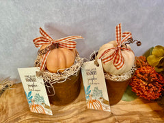 Pumpkin Candle and Soap Set