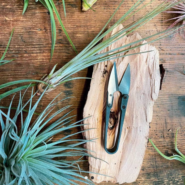 Herb Snips
