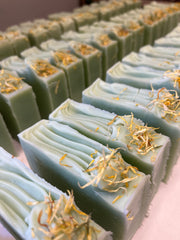 Prickly Pear & Aloe Bar